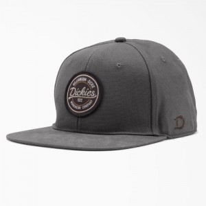 Dickies Plati Bill Duck Cap Gri | LYRE6318