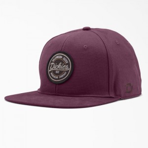 Dickies Plati Bill Duck Cap Violet Visinii | YPPL7025