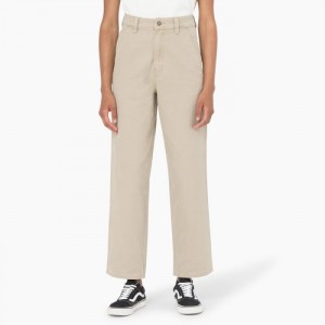 Dickies Regular Fit Duck Pants Regular | IJTN0582