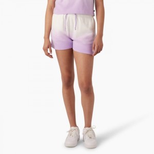 Dickies Relaxed Fit Ombre Knit Shorts, 3" Violet Roz | BPVE5648