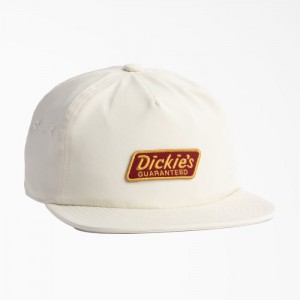 Dickies Relaxed Low Pro Cap Gri | RVJU1484