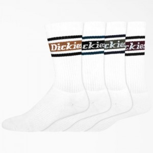 Dickies Rugby Stripe Socks, Size 6-12, 4-Pack Albi | VDAL2748