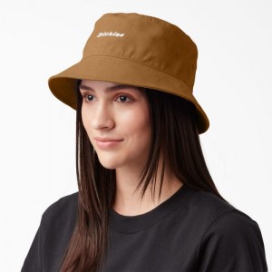 Dickies Script Logo Panza Bucket Hat Maro | QUIG8856