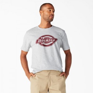 Dickies Scurte Sleeve Relaxed Fit Grafice T-Shirt Gri | WICH9814