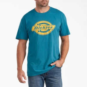 Dickies Scurte Sleeve Relaxed Fit Grafice T-Shirt Turcoaz | MIAO4376