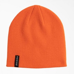 Dickies Skull Cap Beanie Portocalii | NRUT2388