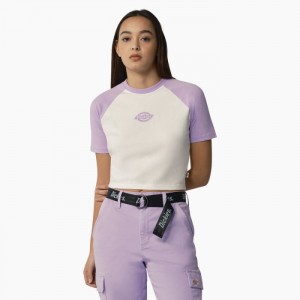 Dickies Sodaville T-Shirt Violet Roz | UFTA2966