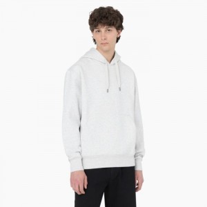 Dickies Summerdale Hoodie Gri | DQVX6053