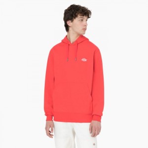 Dickies Summerdale Hoodie Rosii Inchis | ENVH7302