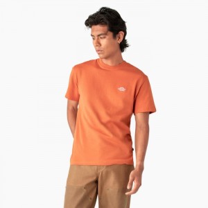 Dickies Summerdale Scurte Sleeve T-Shirt Maro | CFAY9742