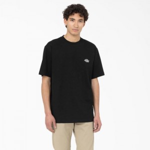 Dickies Summerdale Scurte Sleeve T-Shirt Negrii | WFNZ9539