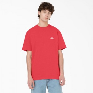 Dickies Summerdale Scurte Sleeve T-Shirt Bittersweet | PSSV3832