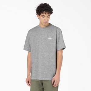 Dickies Summerdale Scurte Sleeve T-Shirt Gri | FTTR9294