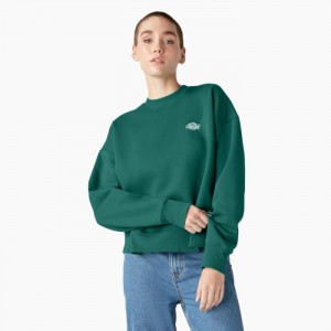 Dickies Summerdale Sweatshirt Aventurine | MXSJ9165