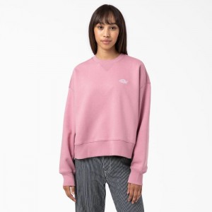 Dickies Summerdale Sweatshirt Foxglove | EXQQ1494