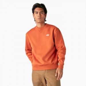 Dickies Summerdale Sweatshirt Maro | UJWP4776