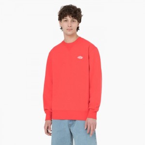Dickies Summerdale Sweatshirt Rosii Inchis | ELSM5306