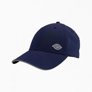 Dickies Temp-iQ Bleumarin | BSLW4625