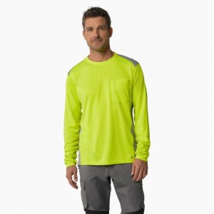 Dickies Temp-iQ Galbeni | TXVN3703