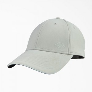 Dickies Temp-iQ Gri | MOCY9997