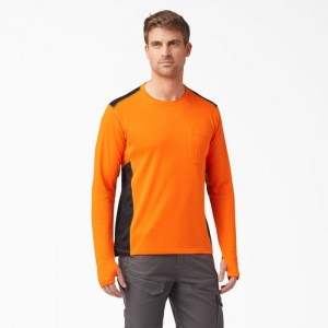 Dickies Temp-iQ Portocalii | LYYY9799