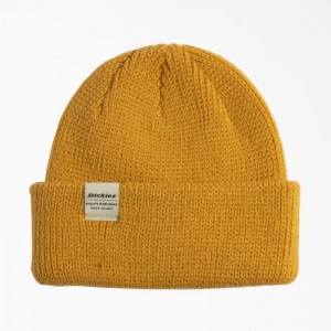 Dickies Thick Knit Beanie Narcissus | YJOI2113