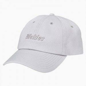 Dickies Twill Cap Alloy | NJCF7273
