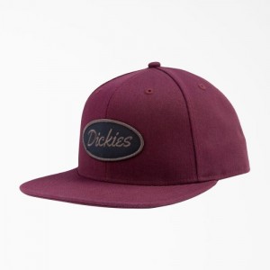 Dickies Twill Plati Bill Cap Visinii | IDQT9763