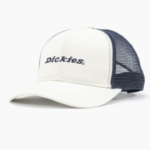 Dickies Two-Tone Trucker Cap Bej | IRHY4040