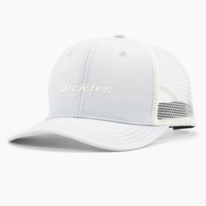 Dickies Two-Tone Trucker Cap Maro Deschis | TGGI7184