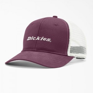 Dickies Two-Tone Trucker Cap Violet Visinii | KCPG5469