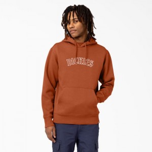 Dickies Union Springs Logo Hoodie Regular | TXDI2641