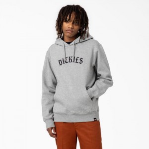 Dickies Union Springs Logo Hoodie Regular | ZDYX1662