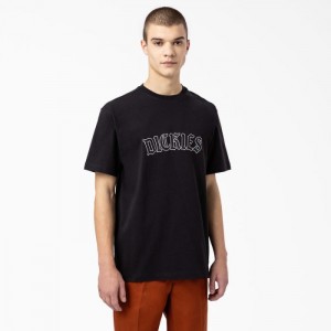Dickies Union Springs Scurte Sleeve T-Shirt Negrii | RWRD0916