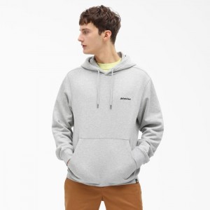 Dickies Uniontown Hoodie Regular | AITU3429