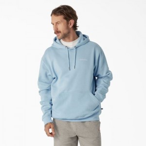 Dickies Uniontown Hoodie Regular | JPYZ3359