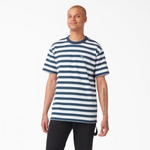 Dickies Vincent Alvarez In Dungi T-Shirt Albastri | PNHE2545