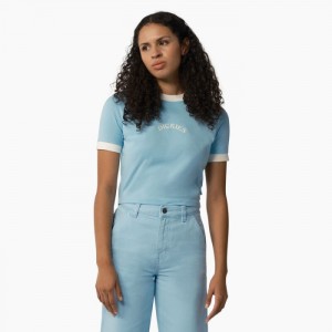 Dickies Warm Springs T-Shirt Albastri | ZLRB0990
