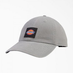 Dickies Washed Panza Cap Gri | MISC4612