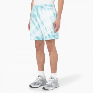 Dickies Westfir Relaxed Fit Shorts, 8" Albastri | URRM2677