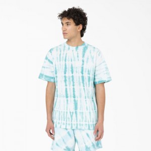 Dickies Westfir Scurte Sleeve T-Shirt Albastri | ZAQD1817