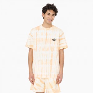 Dickies Westfir Scurte Sleeve T-Shirt Impala | CLUP6655