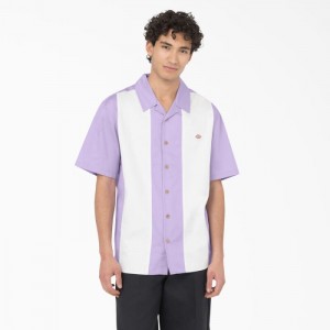Dickies Westover Scurte Sleeve Shirt Violet Roz | CEQA7613