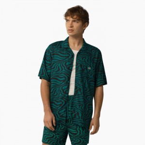 Dickies Zebra Print Scurte Sleeve Shirt Verde Menta | DBNH7738