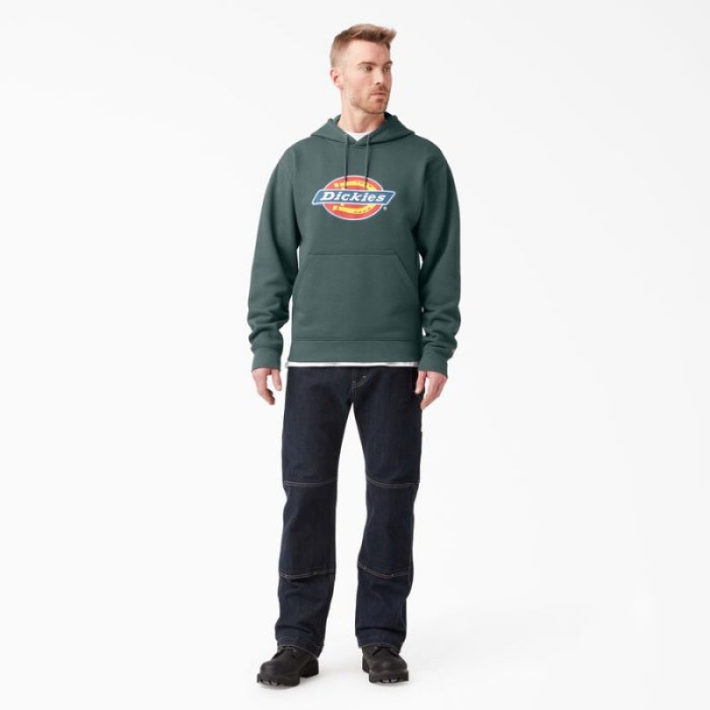 Dickies Apa Repellent Tri-Color Logo Hoodie Verzi | VICK3064