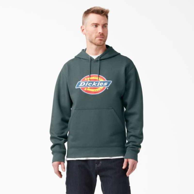 Dickies Apa Repellent Tri-Color Logo Hoodie Verzi | VICK3064