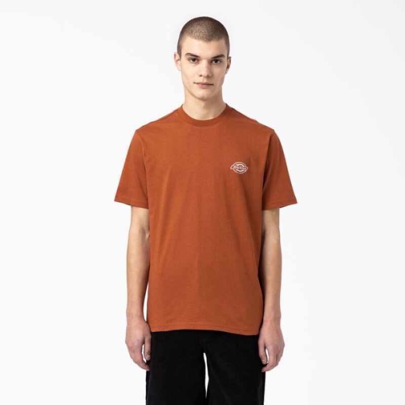 Dickies Back Logo Grafice T-Shirt Maro | ZOAP1989