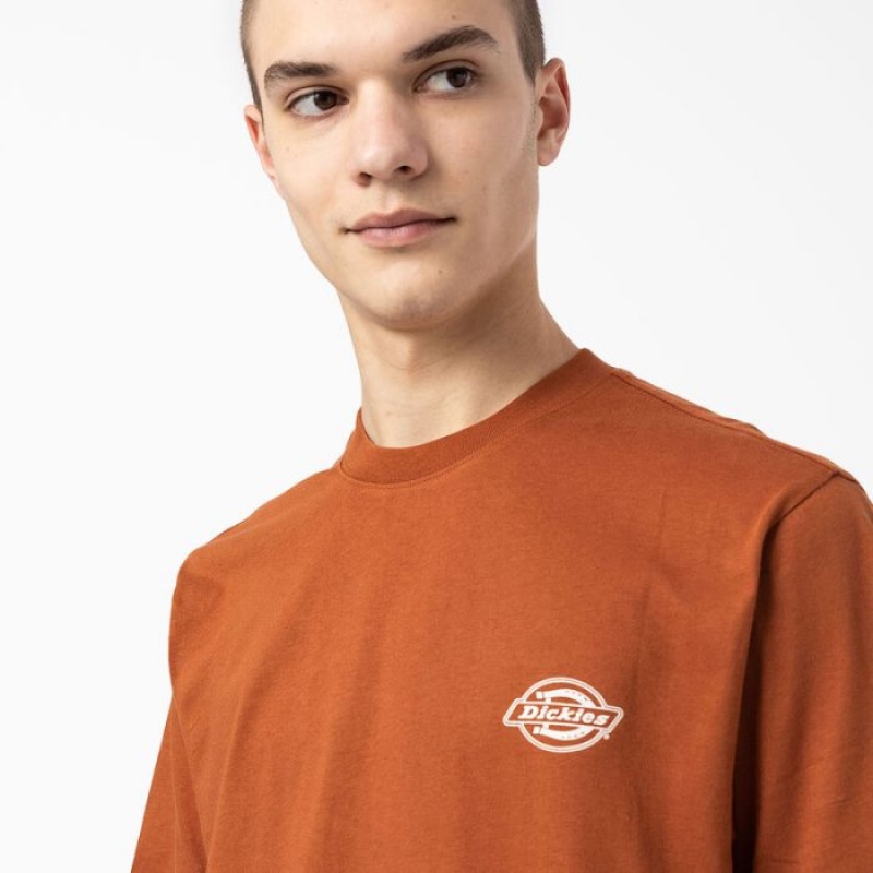 Dickies Back Logo Grafice T-Shirt Maro | ZOAP1989