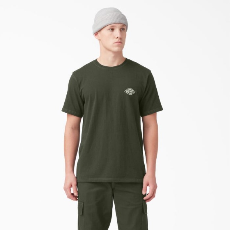 Dickies Back Logo Grafice T-Shirt Masline Verzi Verzi | CLVV0986