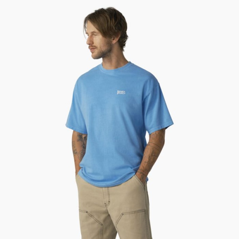 Dickies Bandon Scurte Sleeve T-Shirt Azur Albastri Albastru Deschis | GHKE0350